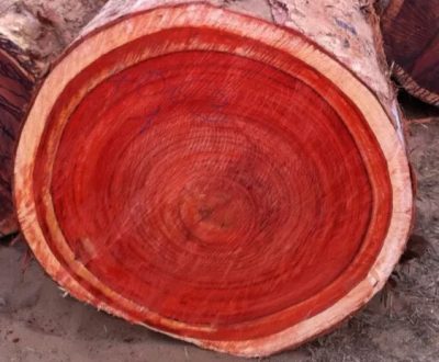 padauk